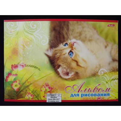 Альбом для рисования 20 листов Hatber Котята, мелованный *12*60 Альбом для рисования 20 листов Hatber Котята, мелованный *12*60