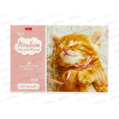 Альбом для рисования 20 листов Hatber Котята, мелованный *12*60 Альбом для рисования 20 листов Hatber Котята, мелованный *12*60