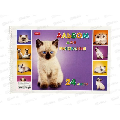 Альбом для рисования 24 листов  Hatber Милые котята, мелованный, на гребне, 406 *5/50