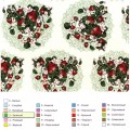 Клеенка на ткан основе Колорит Арт. 449-3 25м