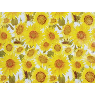 Клеенка на тканевой основе Колорит Арт. 927-5 25м Клеенка на тканевой основе Колорит Арт. 927-5 25м