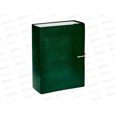 Папка архивная 9см с завязками ПГС зеленая *8 Папка архивная 9см с завязками ПГС зеленая *8