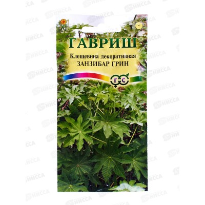 Клещевина Занзибар грин 5 штук   *10 ГШ Клещевина Занзибар грин 5 штук   *10 ГШ