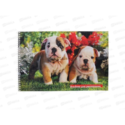 Альбом для рисования 32листа Hatber Зверьё моё, перфорированные листы, греб. *5/40