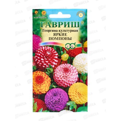 Георгина Яркие помпоны 0,2 грамма Н12 *10 ГШ Георгина Яркие помпоны 0,2 грамма Н12 *10 ГШ