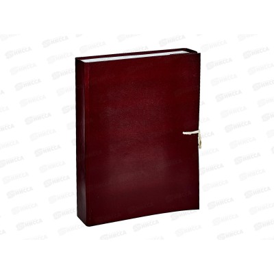 Папка архивная 5см с завязками ПГС бордовая *8 Папка архивная 5см с завязками ПГС бордовая *8