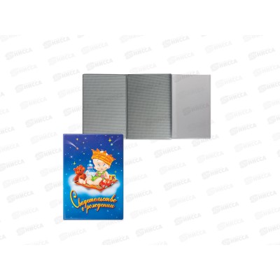 Папка ДПС Свидетельство о рождении, голубая, 2748.М *18 Папка ДПС Свидетельство о рождении, голубая, 2748.М *18