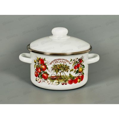 Кастрюля 2,0л эмалированная с рисунком 01-1610/4  *8