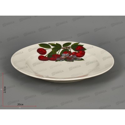 Тарелка мелкая 240мм фарфор Идилия Ассорти сборное 4С0207 *12
