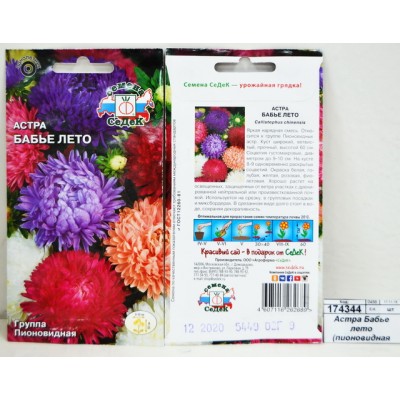 Астра Бабье лето (пионовидная белая) (Евро, 0,2) *10 СеДек