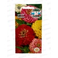 Цинния Мамбо (георгиновидная, смесь) (Евро) *10 СеДек + Цинния Мамбо (георгиновидная, смесь) (Евро) *10 СеДек +