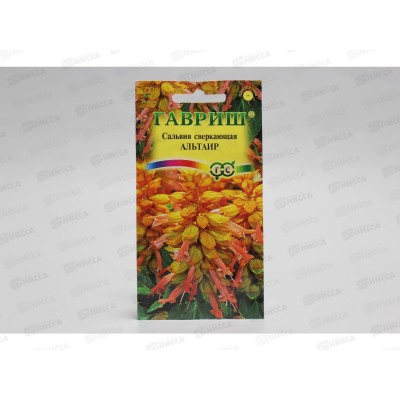 Сальвия Альтаир карликовая 4шт *10 ГШ Сальвия Альтаир карликовая 4шт *10 ГШ