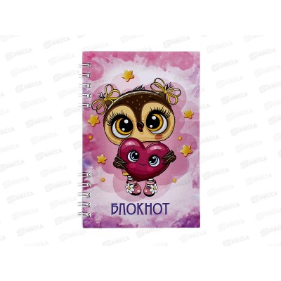 Блокнот 80листов ПГС Совушки, 100*150, глиттер.,на гребне. *12 Блокнот 80листов ПГС Совушки, 100*150, глиттер.,на гребне. *12