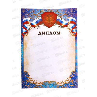 Диплом А4 КП 2210 премиум с госсимволикой *20