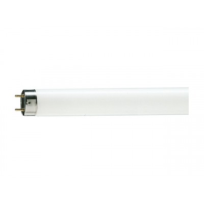 Электрическая лампочка PHILIPS TL-D G13 18Вт 54-765 SLV, 815788 *25 Электрическая лампочка PHILIPS TL-D G13 18Вт 54-765 SLV, 815788 *25