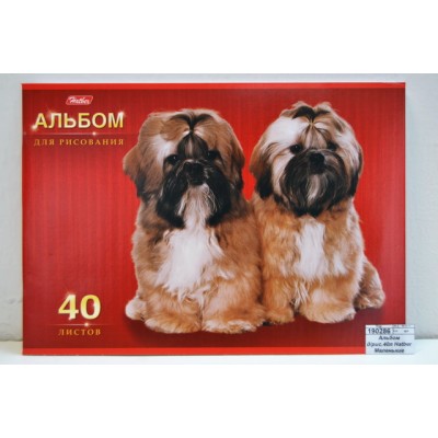Альбом д/рис.40л Hatber Маленькие друзья 004128 *7/35
