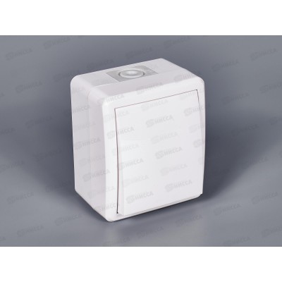 Выключатель Эра открытой установки ,IP54,10АХ-250В с подсветкой, белый, 11-1402-01 *1 Выключатель Эра открытой установки ,IP54,10АХ-250В с подсветкой, белый, 11-1402-01 *1