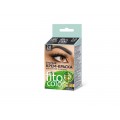 Fitocolor крем-краска для бровей и ресниц графит 2 (2 применения ) 2*2мл *24 Fitocolor крем-краска для бровей и ресниц графит 2 (2 применения ) 2*2мл *24