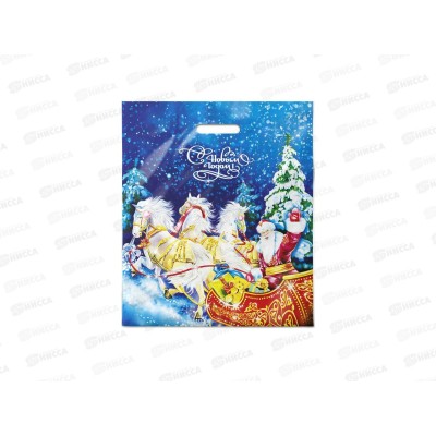 Пакет пробивной Новый Год 40*47  Сани *50/500