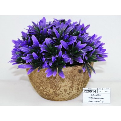 Бонсай "Цветные листья" в горшке 1840779 Бонсай "Цветные листья" в горшке 1840779