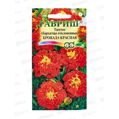 Бархатцы отклоненные Брокада красная (Тагетес) 0,3 грамма  Н12 *10  ГШ Бархатцы отклоненные Брокада красная (Тагетес) 0,3 грамма  Н12 *10  ГШ
