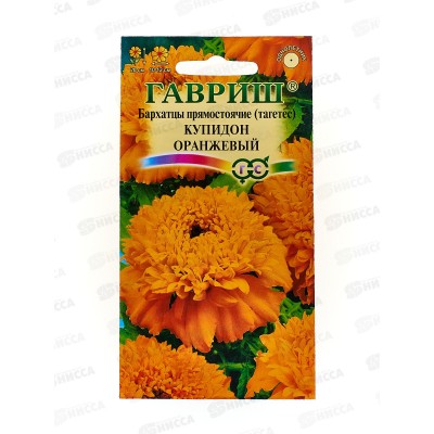 Бархатцы прямостоячие Купидон оранжевый 20см (Тагетес) 0,05 грамм   *10 ГШ +