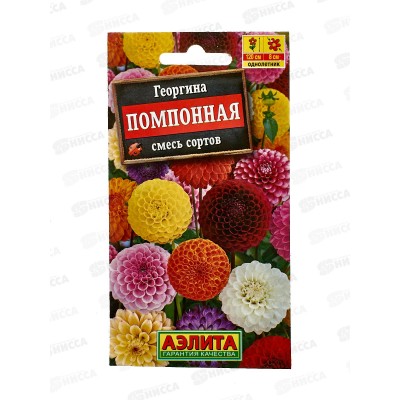 Георгина помпонная,смесь окрасок *10 АЭЛИТА +