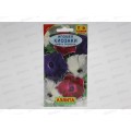 Ипомея Киозаки, смесь окрасок *10 АЭЛИТА срок до 12.24 Ипомея Киозаки, смесь окрасок *10 АЭЛИТА срок до 12.24