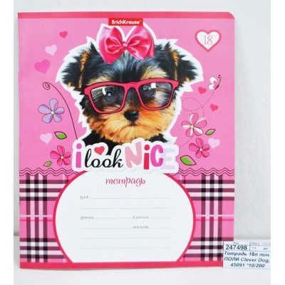 Тетрадь 18 листов линия ПОЛИ  Clever Dog, 45091 *10/200