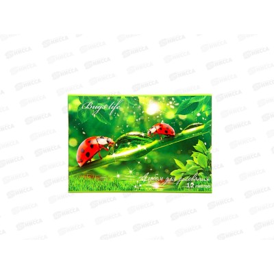 Альбом для рисования 12 листов ТПМ Bugs life, УФ-лак АР12М109/1 *50
