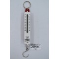 Безмен 10кг (ТЕ-047), AL-254 *400