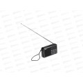 РАДИОПРИЕМНИК Сигнал РП-221 (FM, акб 400мАч, USB/microSD, дисплей)