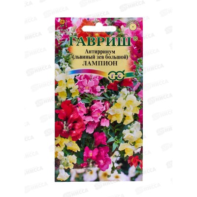 Львиный зев ампельный Лампион 5 штук  *10 ГШ +