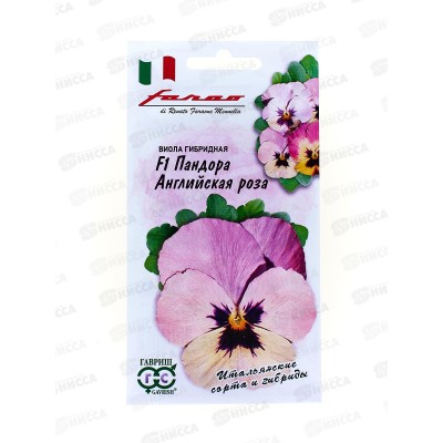 Виола Пандора Английская роза 5 штук Фарао Н18 *10 ГШ Виола Пандора Английская роза 5 штук Фарао Н18 *10 ГШ