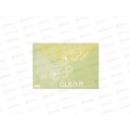 Папка с кнопкой FLEXoffice А4 зеленая, 0.18мм, FO-CBF05 *10