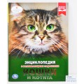 Энциклопедия Кошки и котята "Умка" А4, 48ст. 02698-3 *15