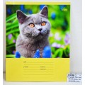 Тетрадь 12 листов  линия  ЭКСМ Коты на природе, мелованная , ассортимент, ТЛ126298 *100