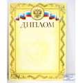 Диплом А4 ХАТ тиснение золотой фольгой, символ,14038, 038818 *10/200 Диплом А4 ХАТ тиснение золотой фольгой, символ,14038, 038818 *10/200