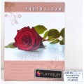 Фотоальбом PLATINUM PP-46100S Цветная Коллекция-2*12