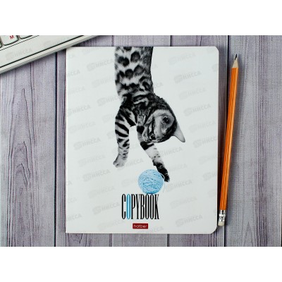 Тетрадь 48листов клетка  Hatber Кто здесь? греб. *10/100