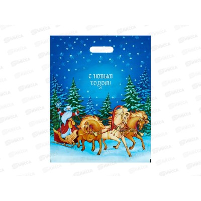 Пакет пробивной Новый Год 40*50 Мчится праздник *50/500