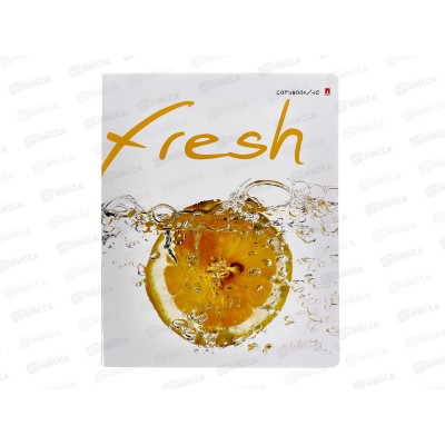 Тетрадь 48листов клетка АЛЬТ Фрукты,7-48-544*10/60 Тетрадь 48листов клетка АЛЬТ Фрукты,7-48-544*10/60