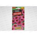 Эхинацея Ливадия пурпурная Аэлита *10 + Эхинацея Ливадия пурпурная Аэлита *10 +