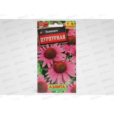 Эхинацея пурпурная Рудбекия Аэлита *10 Эхинацея пурпурная Рудбекия Аэлита *10