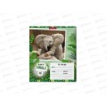 Тетрадь 12листов клетка ПОЛИ Baby Jungle 48832 *10/280 Тетрадь 12листов клетка ПОЛИ Baby Jungle 48832 *10/280