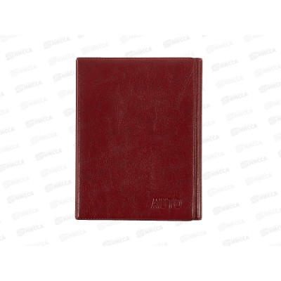 Обложка для автодокументов ДПС 2903.И-202 красный*12 Обложка для автодокументов ДПС 2903.И-202 красный*12