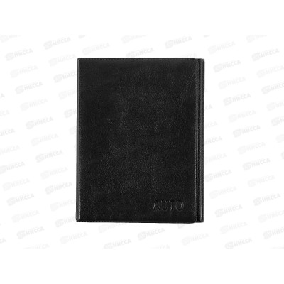 Обложка для автодокументов ДПС 2903.И-207 черный*12 Обложка для автодокументов ДПС 2903.И-207 черный*12