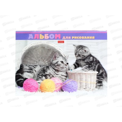 Альбом для рисования 24линия Hatber Котята и клубочки 20994 *5/35 Альбом для рисования 24линия Hatber Котята и клубочки 20994 *5/35