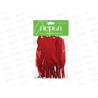 Декор элементы Альт ПЕРЬЯ одноцветные микс,наб №5,2-407/02*24 Декор элементы Альт ПЕРЬЯ одноцветные микс,наб №5,2-407/02*24