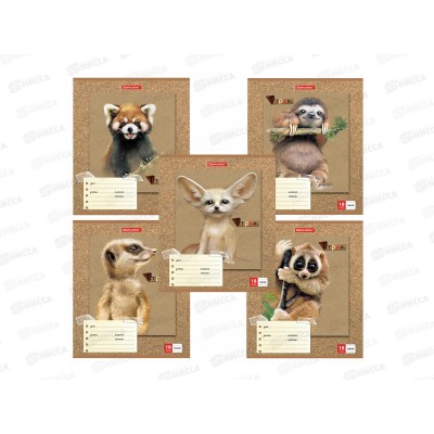 Тетрадь 18л лин BRAU Милые зверушки,403580*20/160